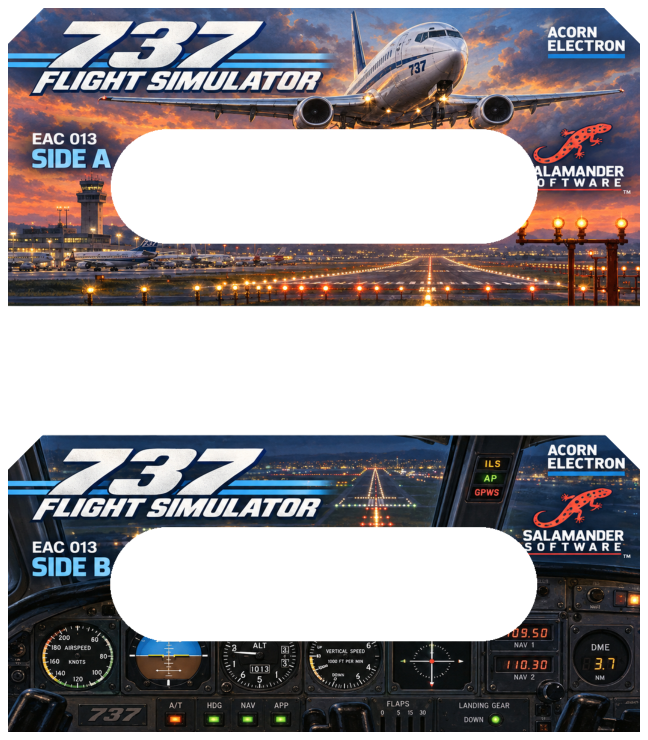 737 Flight Simulator label thumbnail